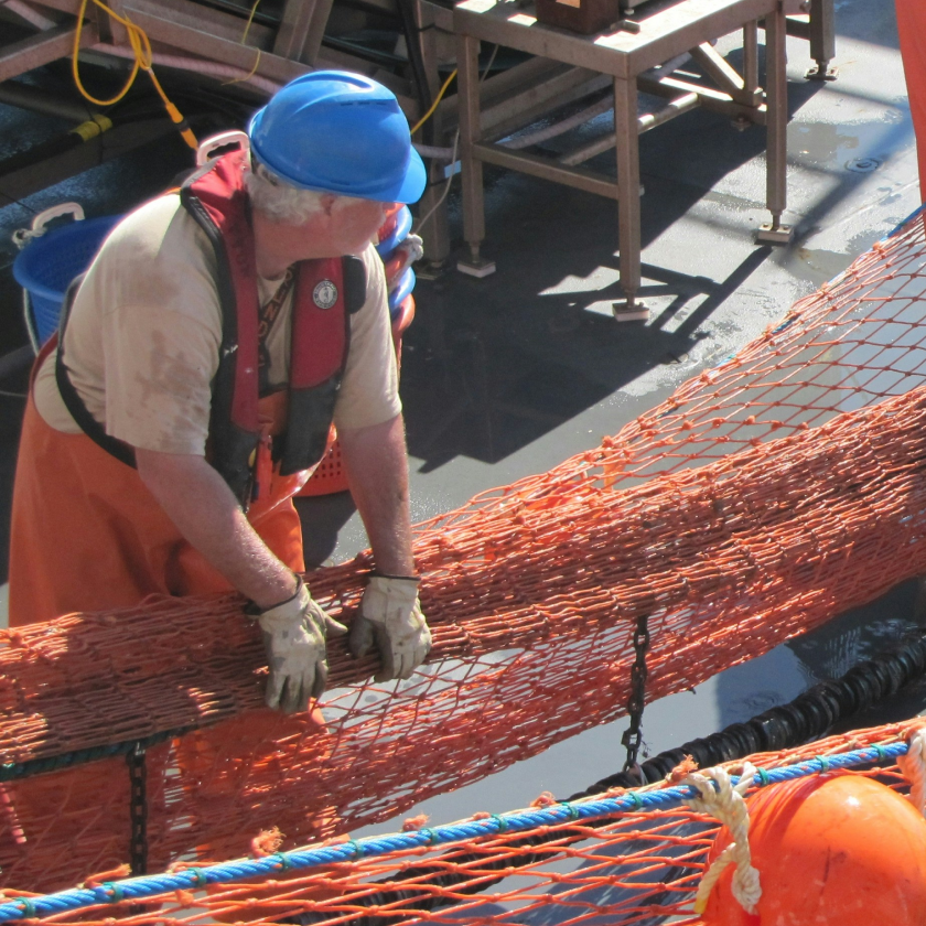 Water supply networks